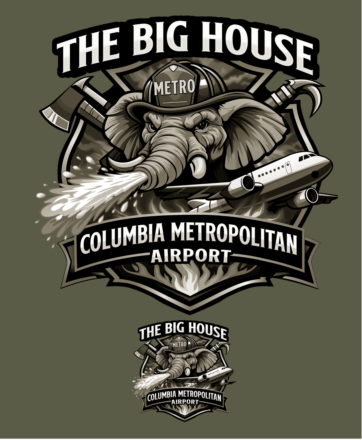 DTT - Columbia Metro Airport - The Big House