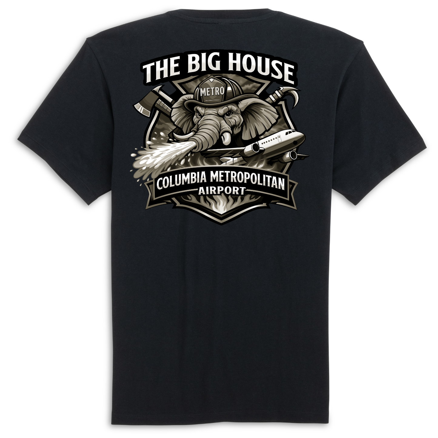 DTT - Columbia Metro Airport - The Big House