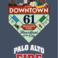 Palo Alto - Downtown 61