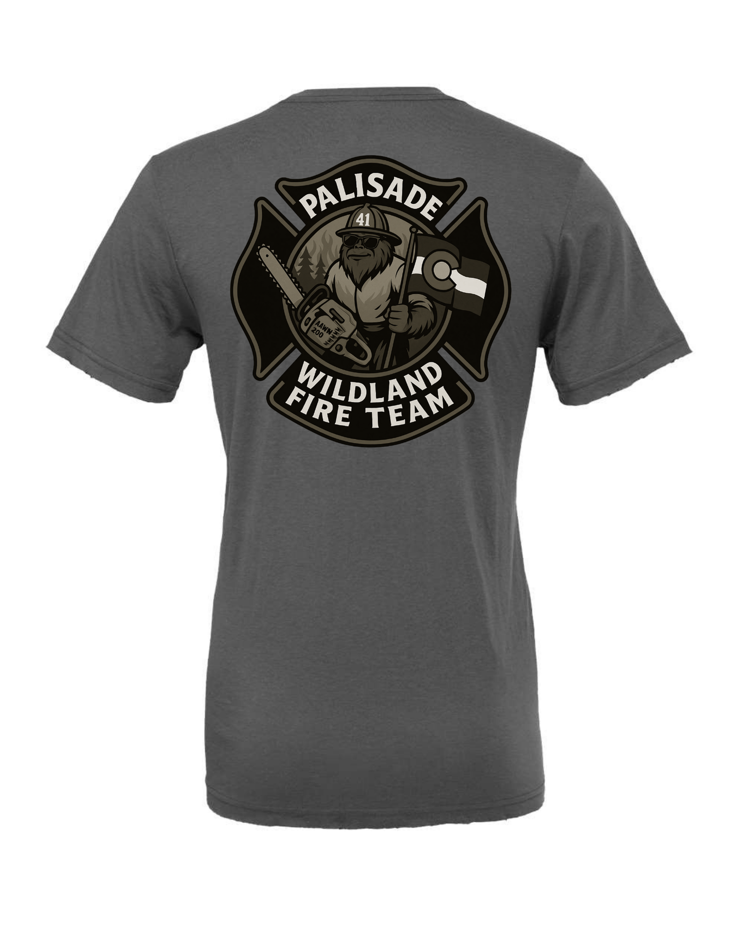 DTT - Palisade Wildland Fire Team