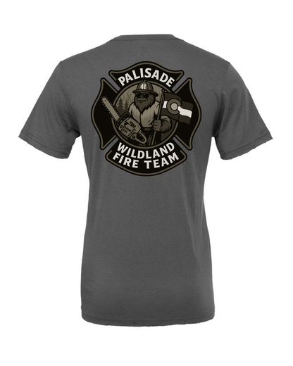 DTT - Palisade Wildland Fire Team