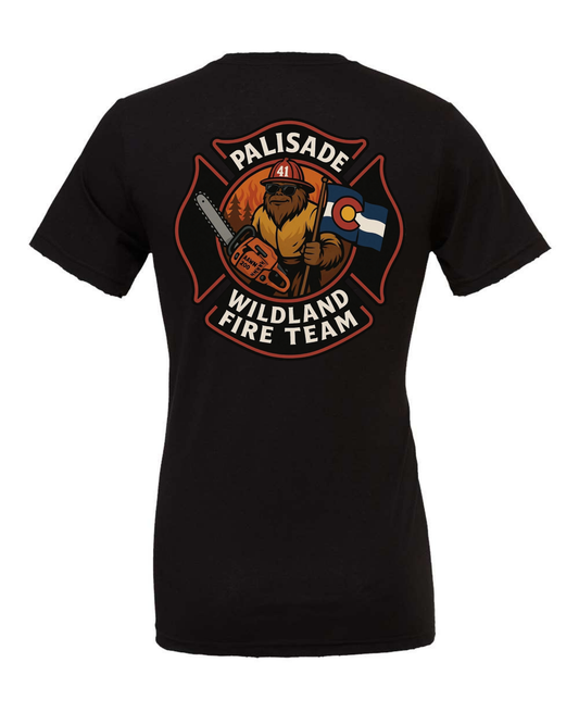 Palisade Wildand Fire Team