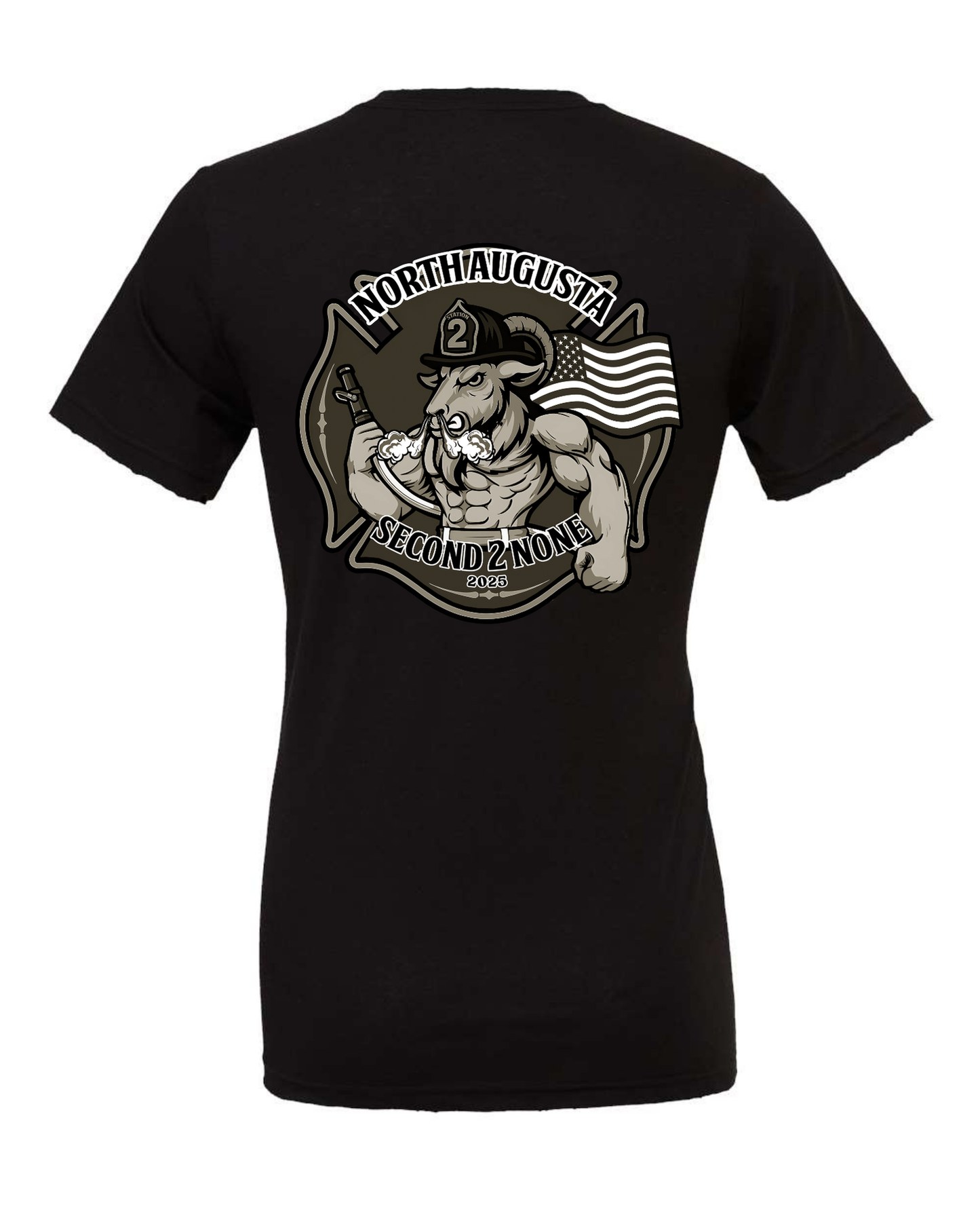 DTT - North Augusta Station 2