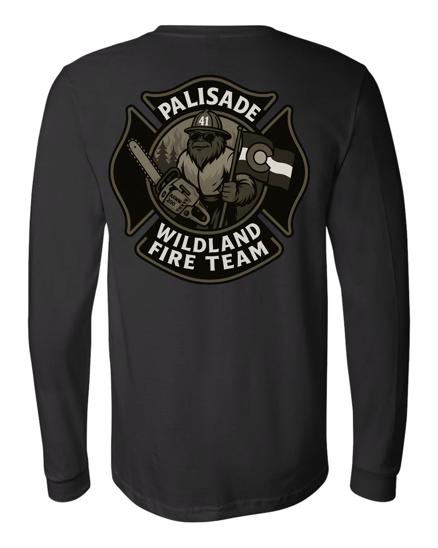 DTT - Palisade Wildland Fire Team