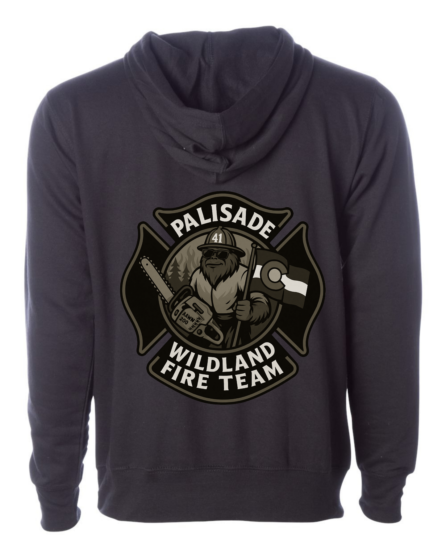 DTT - Palisade Wildland Fire Team