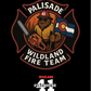 Palisade Wildand Fire Team