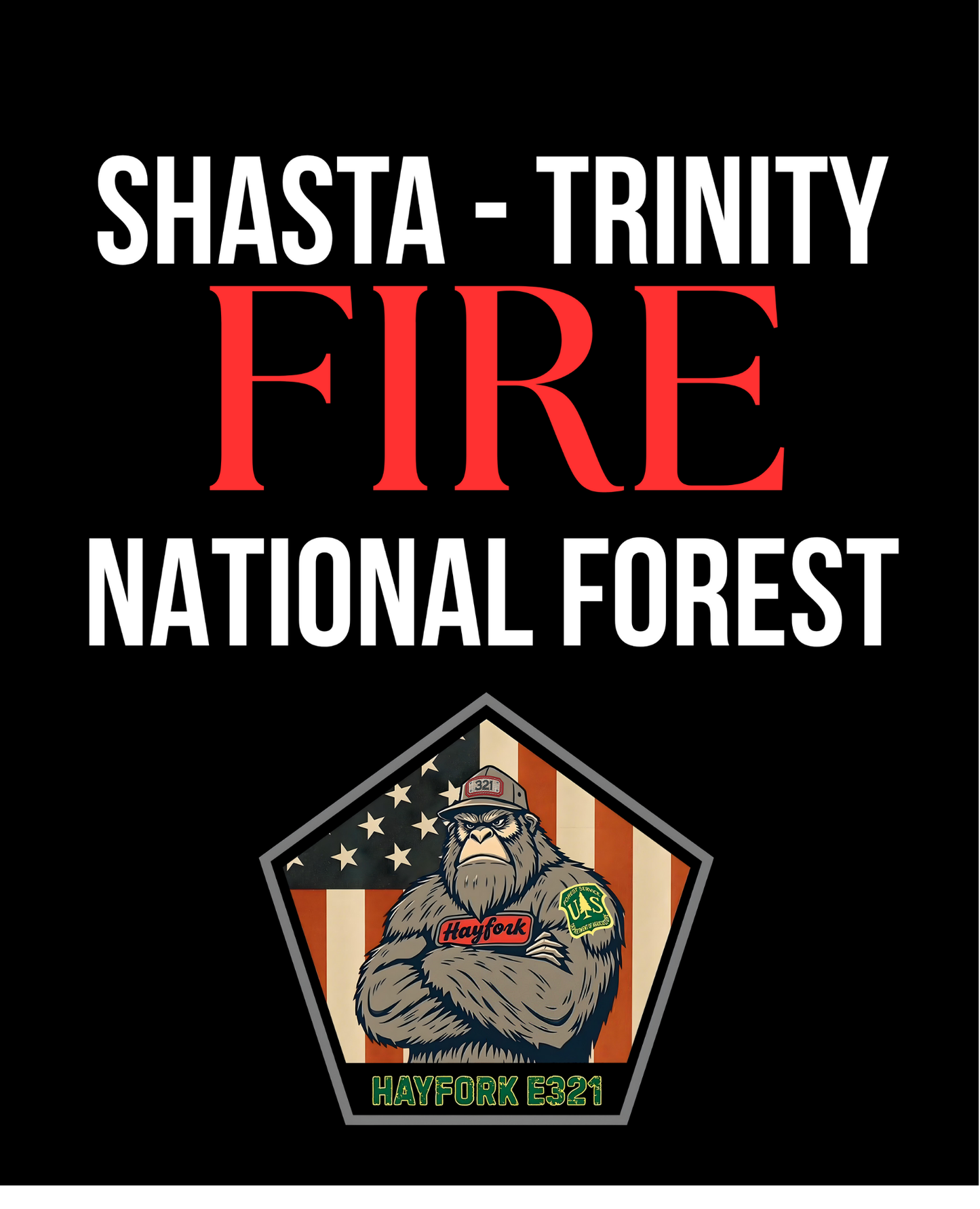 Hayfork Engine 321 - US Forest Service