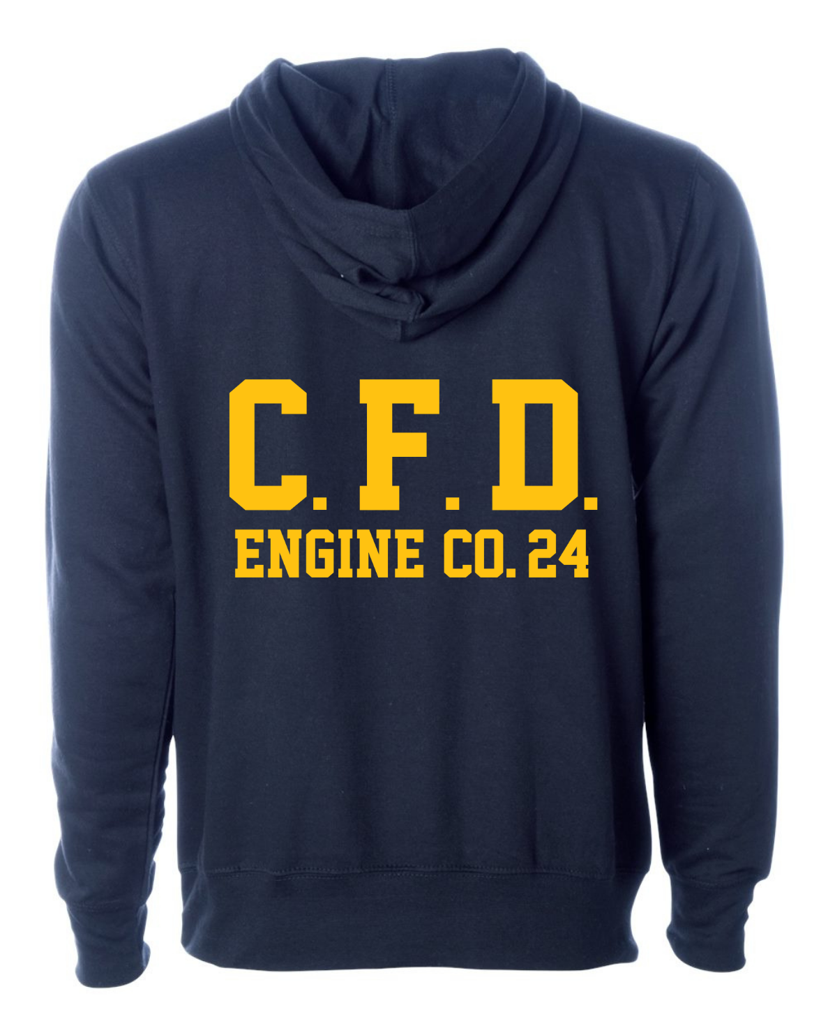 Charlotte Fire - Engine Co 24