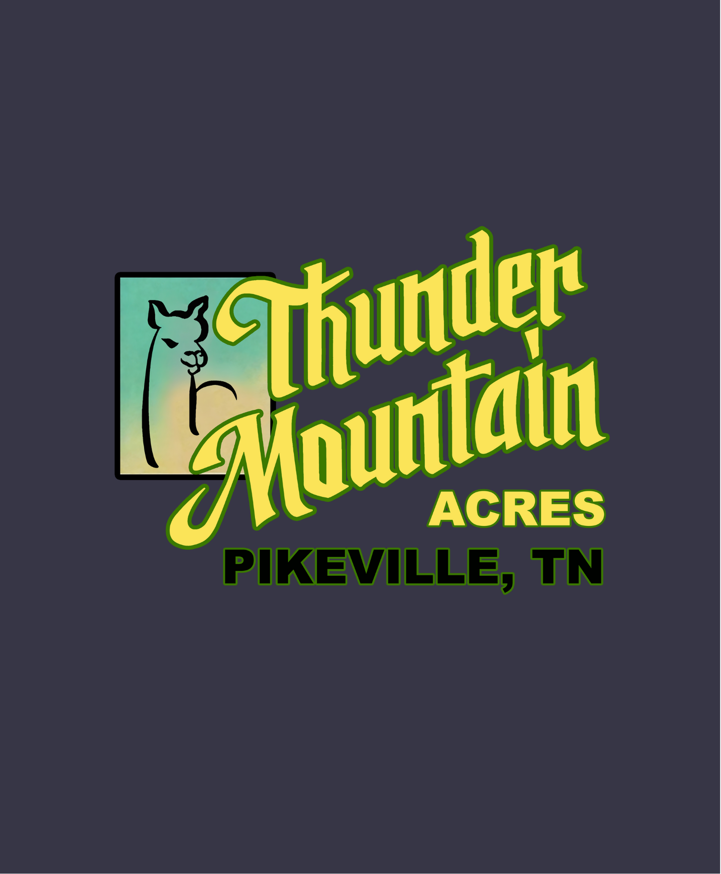 Thunder Mountain Acres