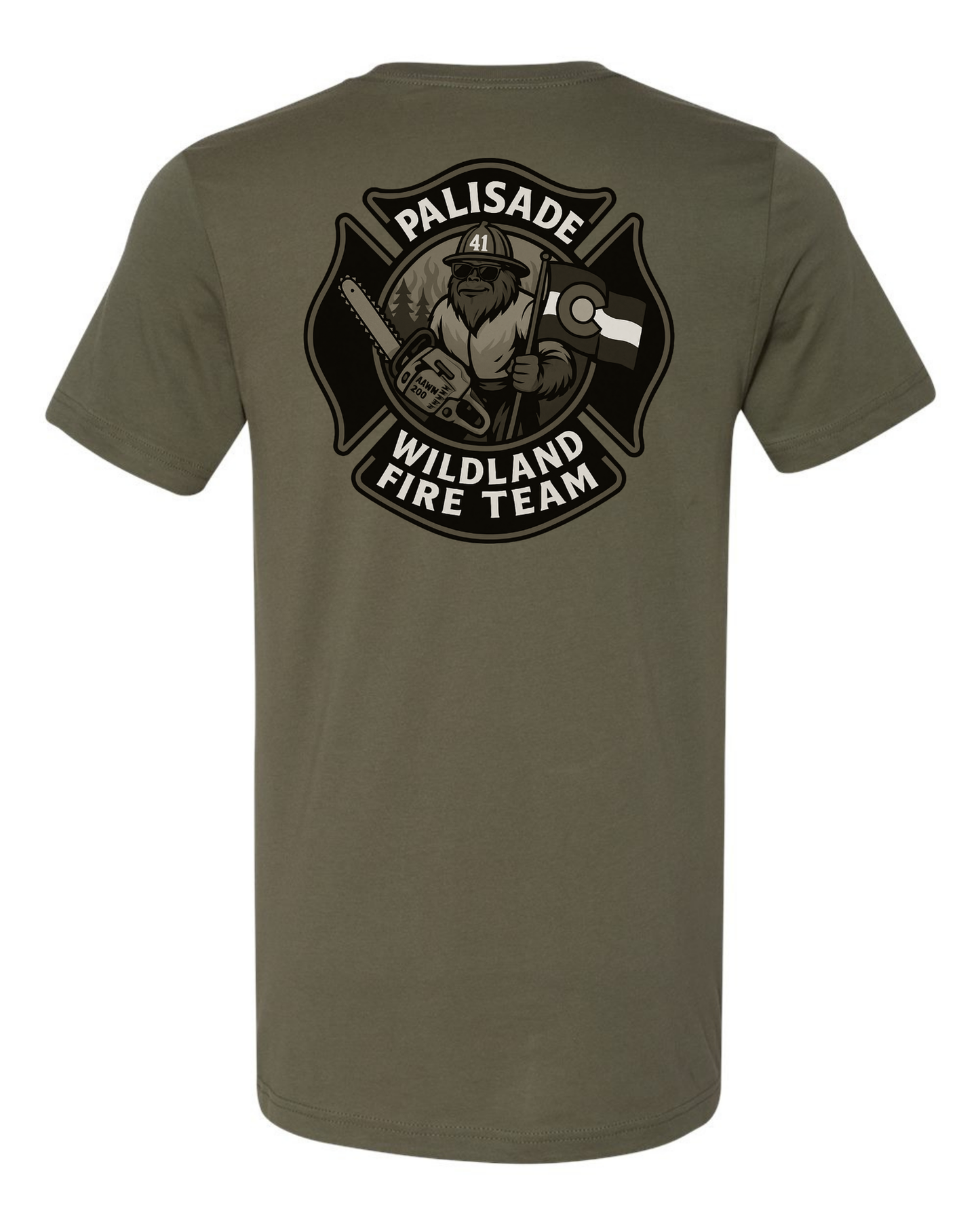 DTT - Palisade Wildland Fire Team