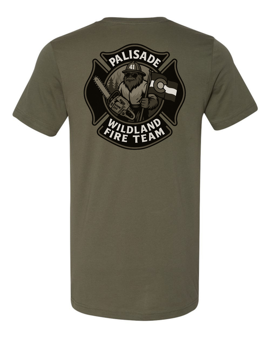 DTT - Palisade Wildland Fire Team