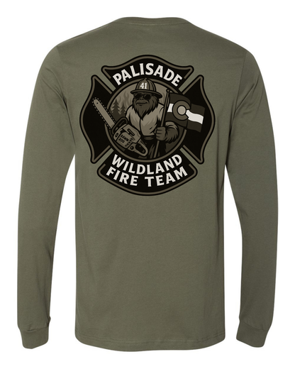 DTT - Palisade Wildland Fire Team