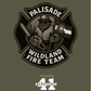 DTT - Palisade Wildland Fire Team