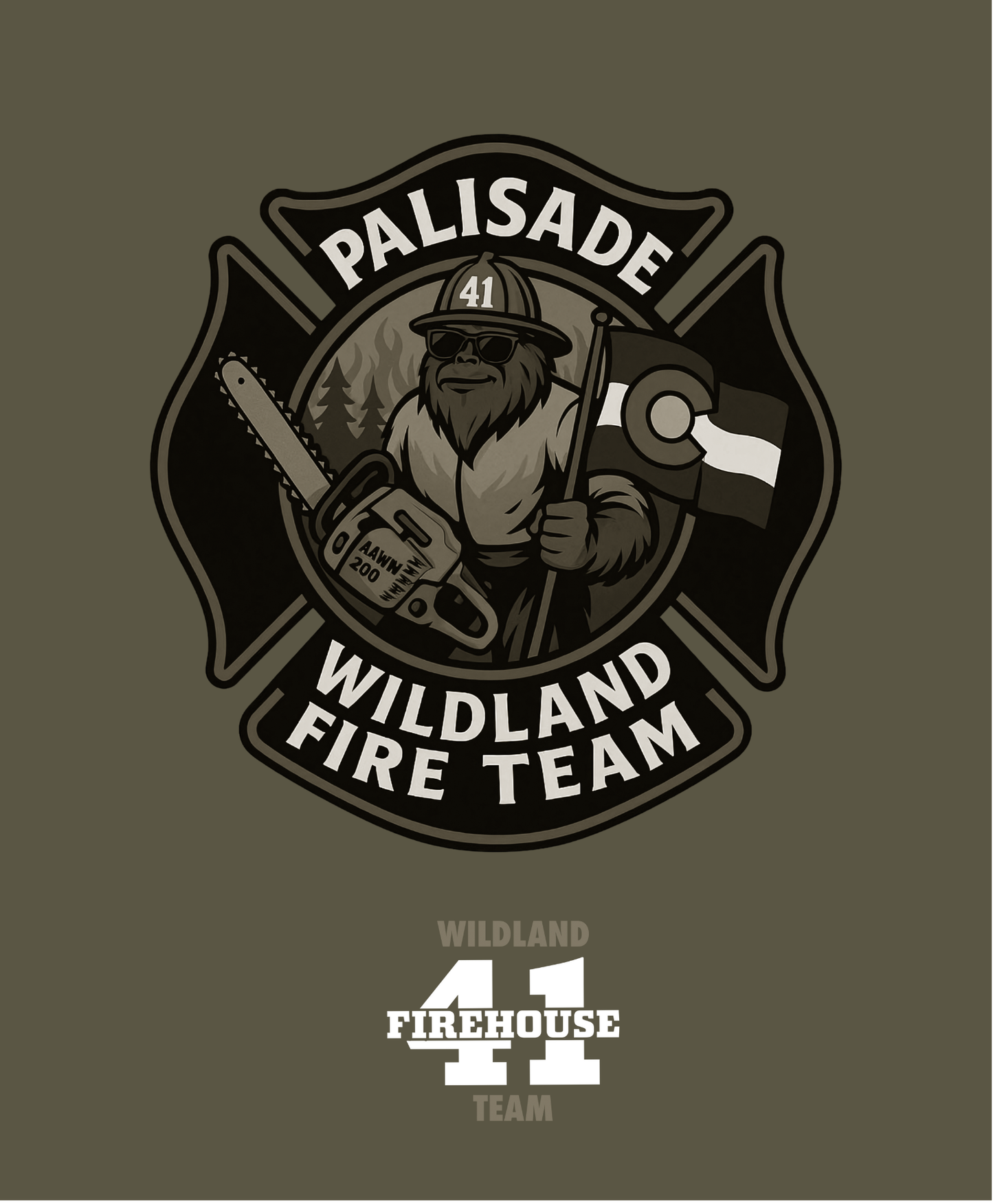 DTT - Palisade Wildland Fire Team