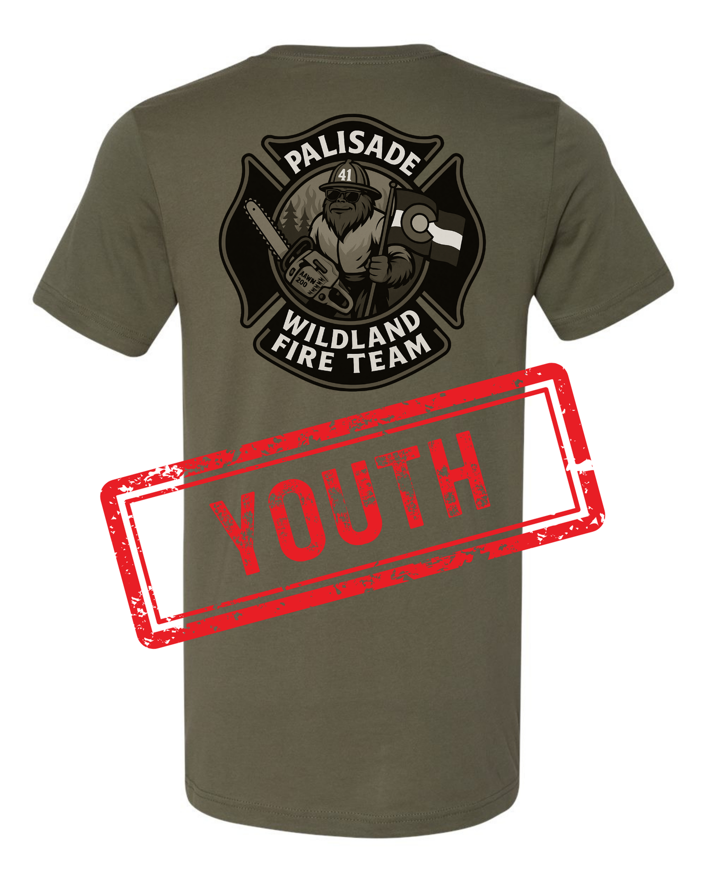 DTT - Palisade Wildland Fire Team