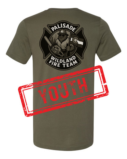 DTT - Palisade Wildland Fire Team